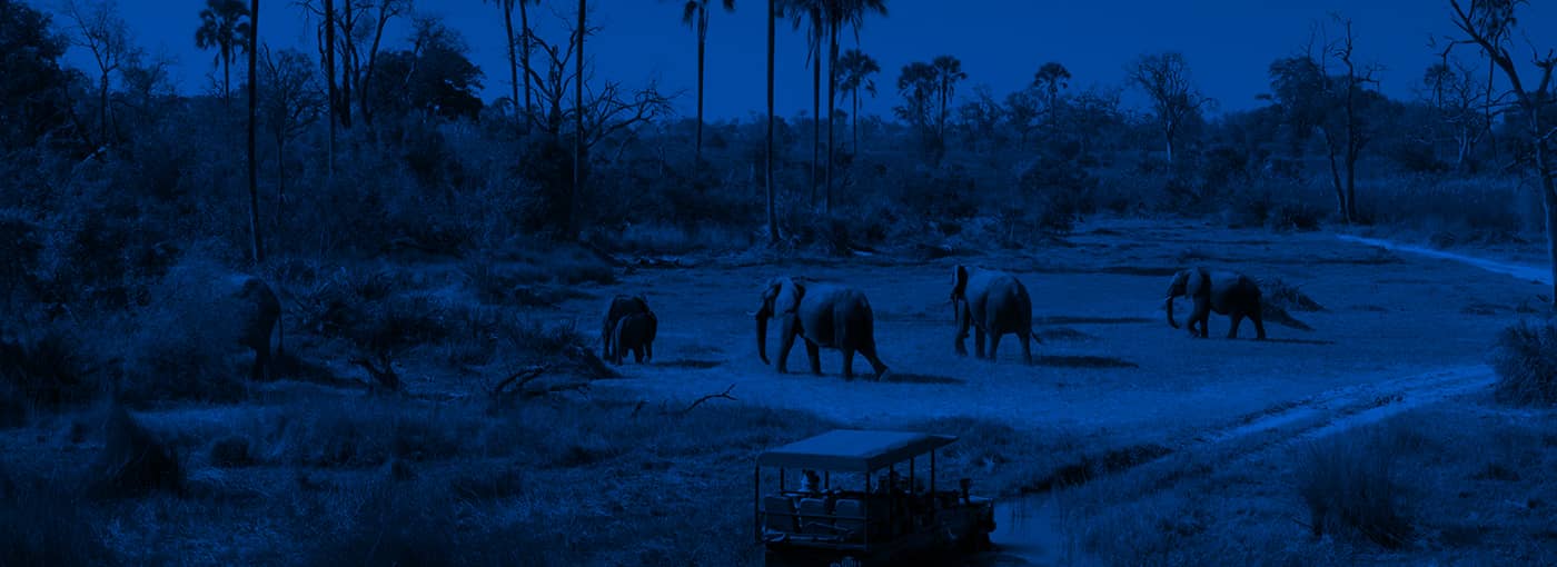 Botswana travel guide